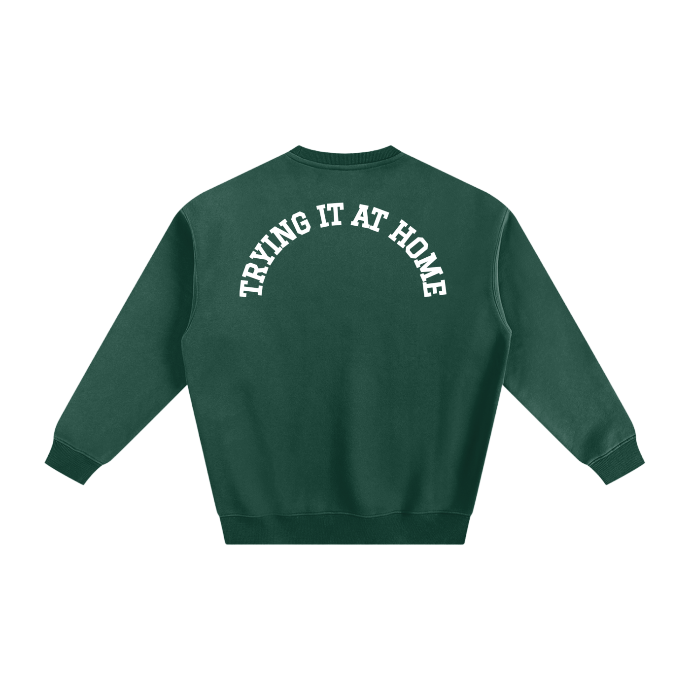 Trying It At Home 21 Fleeced Sweatshirt