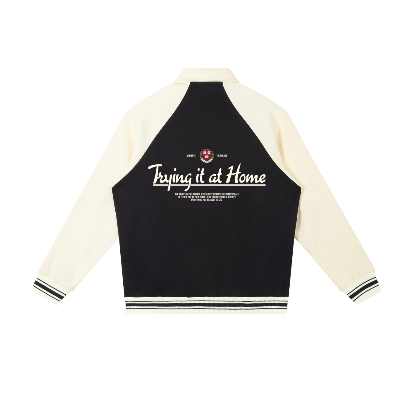 Trying It At Home Baseball Jacket
