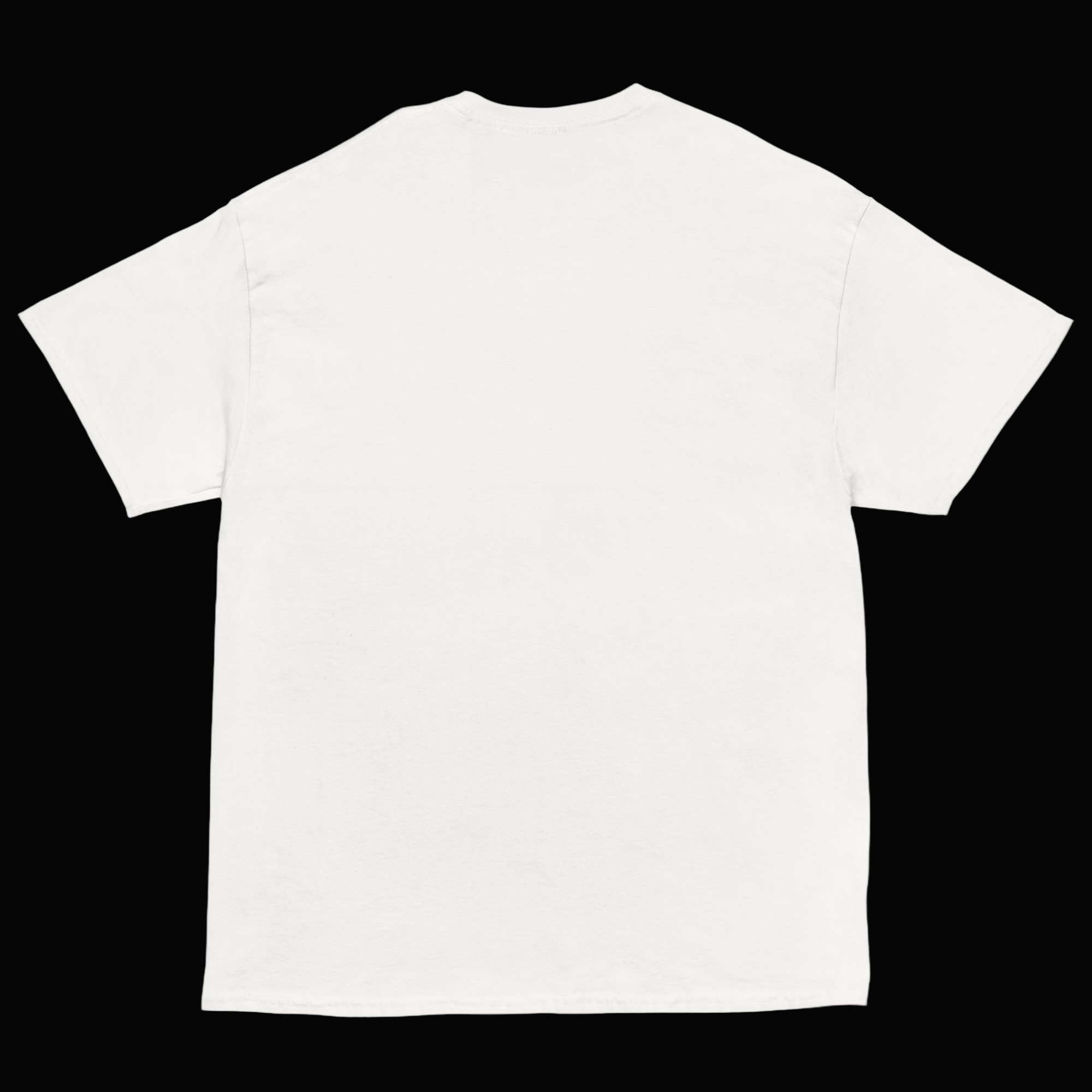 Trying It At Home Logo T-Shirt White
